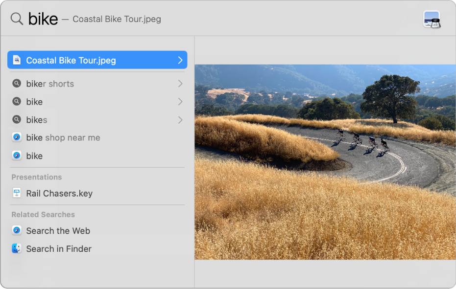 does google make a desktop search engine to search for files on my mac